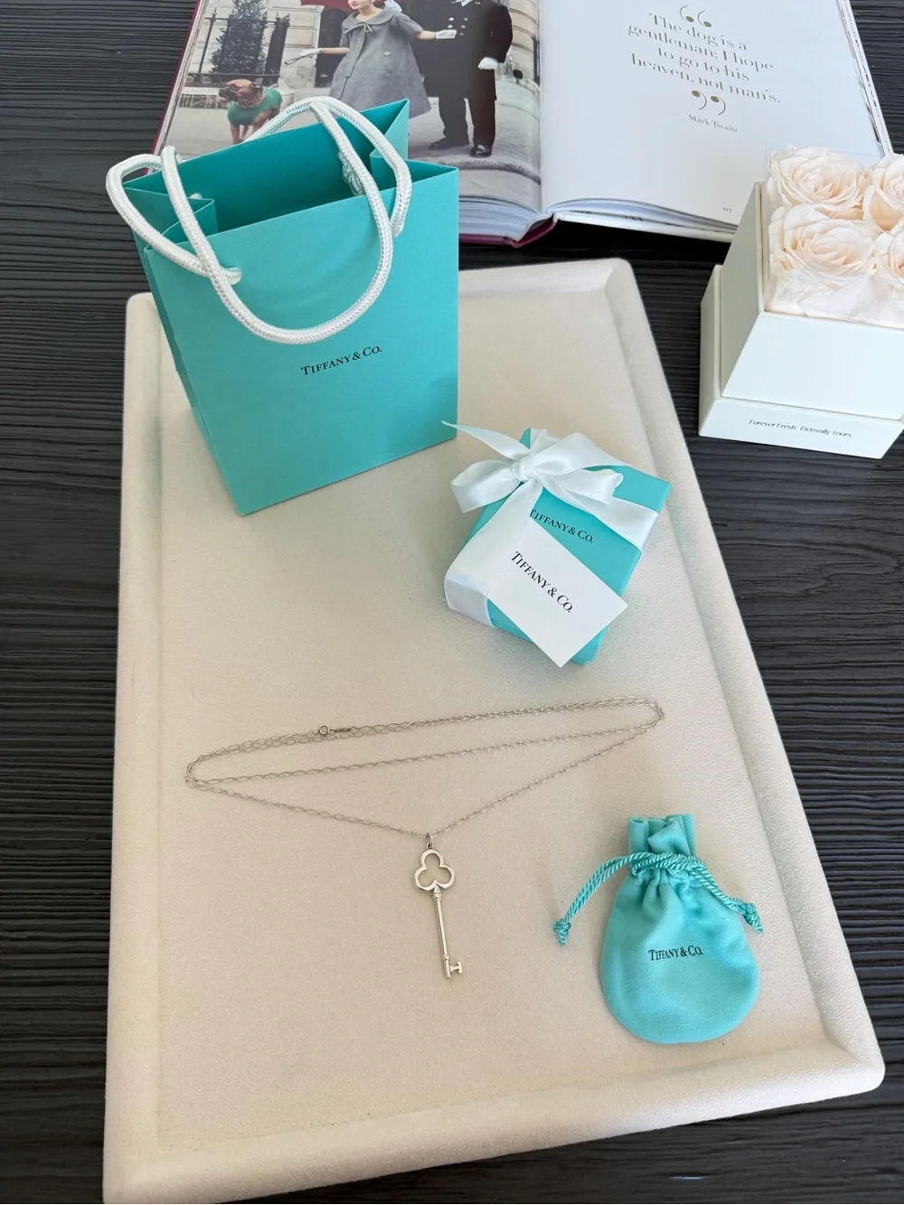 Tiffany & Co. Large Key Necklace Sterling Silver 36”  $700